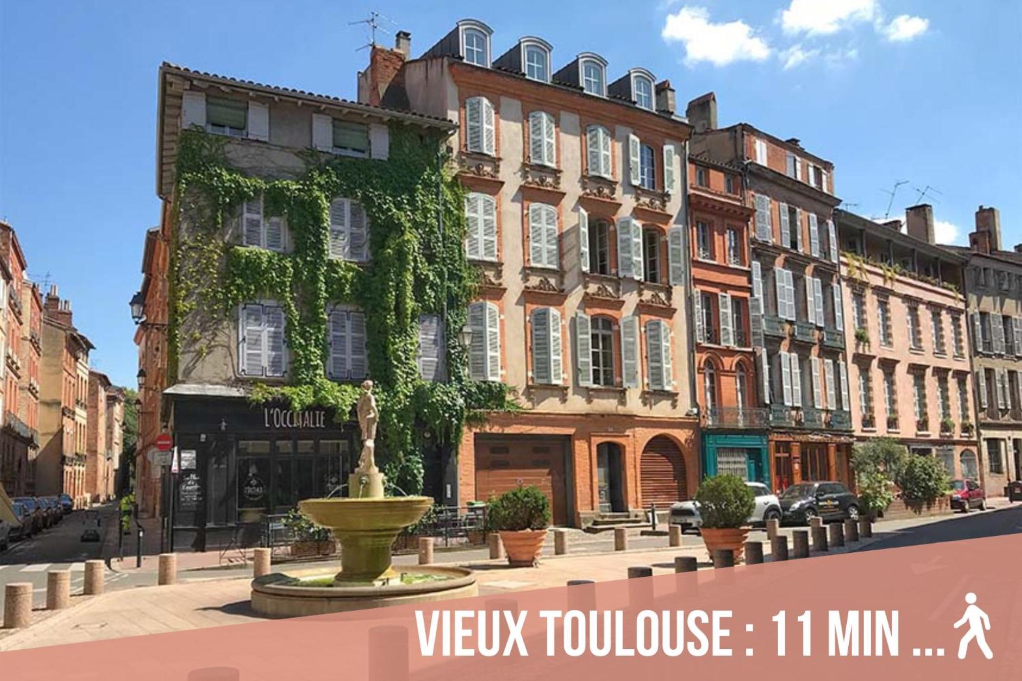 Ferienwohnung Chartreuse, Clim, Parking, Terrasse Au Calme Toulouse Exterior foto